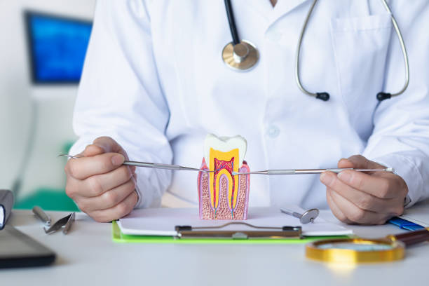 Best Emergency Wisdom Teeth Removal in Shinnston, WV